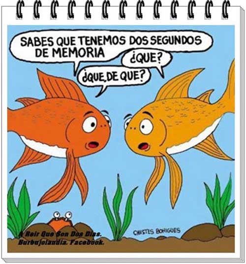Memoria de pez